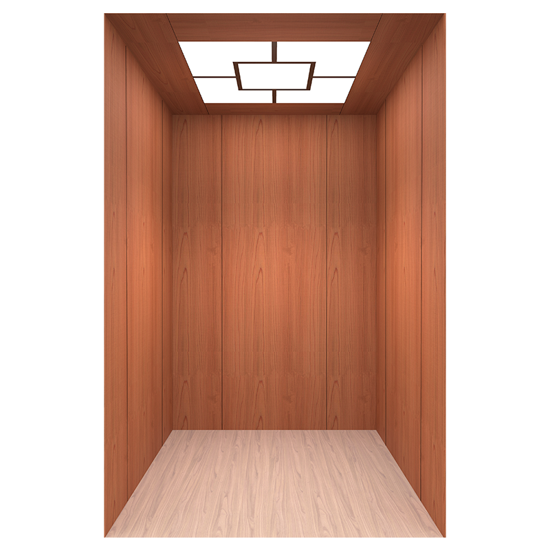 Branded Passenger elevator installation service
